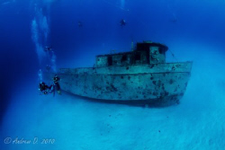 Taken whilst diving in Nassau. Canon 5Dmkii in an Aquatic... by Andrew Dalgleish 